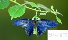 北京七彩蝶园游玩指南