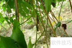 小博友相聚七彩蝶园