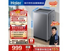 海尔10kg直驱变频波轮洗衣机