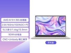 机械革命星耀15锐龙AI 9高颜轻薄本