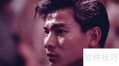 刘德华阿飞正传PS设计
