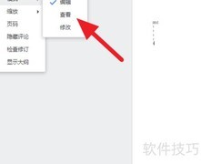 Drive文档查看模式使用指南