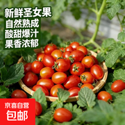 东东买菜广西千禧果促销，满减后 9.9 元带箱 5 斤