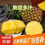 当季新鲜金钻凤梨，1粒装1 - 1.5斤仅3.99元！