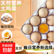 海佑正宗土鸡蛋10枚仅6.99元，新鲜营养速来抢