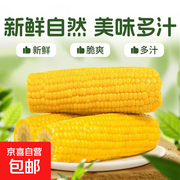 太阳花水果玉米五斤装，到手仅需 11.9 元！