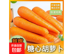 河南新鲜现挖带泥小果红萝卜，1 斤含箱 5.1 元！