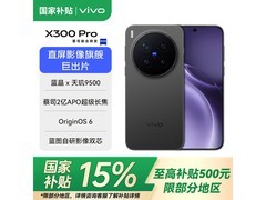 vivo X300 Pro旗舰手机4299元