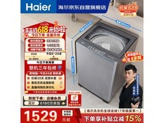 海尔13kg直驱变频波轮洗衣机
