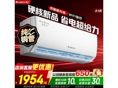 格力天仪Pro空调1匹挂机