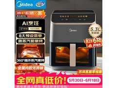美的5.3L空气炸锅，京东优惠低至176元