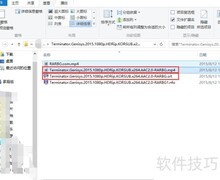 SRT字幕使用方法详解