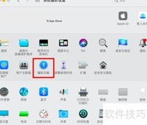 Mac字幕样式设置方法