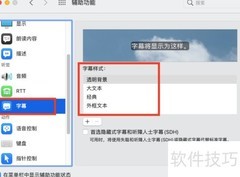 Mac字幕样式设置指南