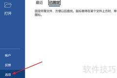 Word2021保持辅助检查器运行