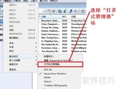 Endnote参考文献格式编辑指南