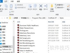 Endnote参考文献格式编辑指南