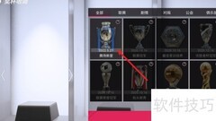 绿茵信仰奖杯摆放指南