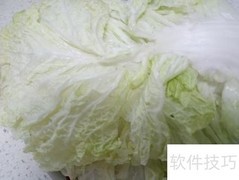 黄小厨秘制大烩菜