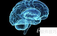 Brain可数与不可数用法解析