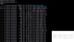Oracle Trace文件生成与查看