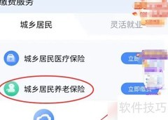 陕西养老保险缴费步骤