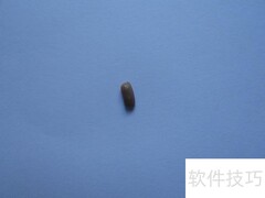 烟台宾馆灭蟑螂7法