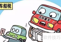 车船税查询方法指南