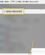 AnyView窗口标题变更抓屏设置