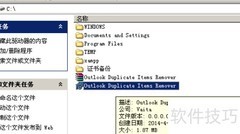 ODIR插件安装指南