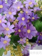 恋人关系进阶五阶段