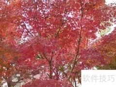 恋人关系进阶五阶段