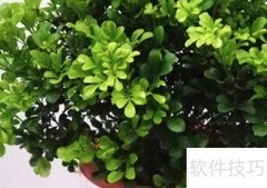 出租公寓装修实用指南