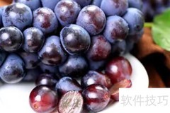 黑皇葡萄：优缺点全解析