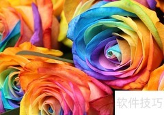 七彩玫瑰的花语秘密