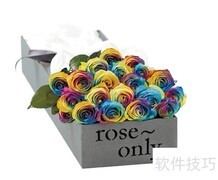 七彩玫瑰的花语秘密