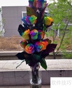 七彩玫瑰花价格一览