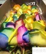 七彩玫瑰花价格一览