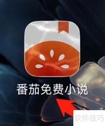 番茄小说订单管理