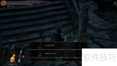 黑暗之魂3大书库进入方法