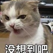 侍魂-胧月传说躺本攻略