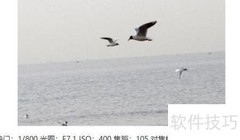 佳能7D拍摄技巧速成指南