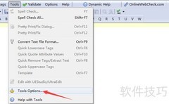 CSE Validator启用CSS检查设置