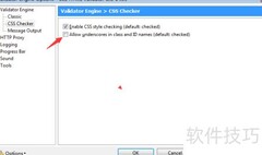 Validator允许下划线设置方法