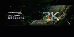 vivo X500 Pro系列外观和屏幕公布：Pro Max全球首发2K蔡司大师色彩屏