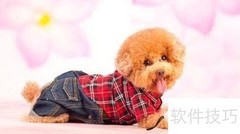 宠物美容培训费用详解