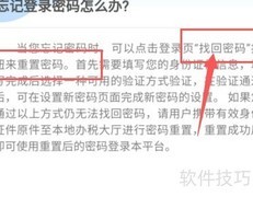 忘记个税密码怎么办