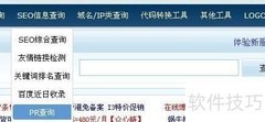 如何查询网页PR值