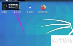 Kali Linux查看文件系统类型