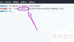 Kali Linux查看文件系统类型